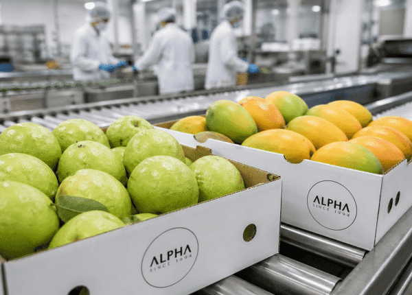 Alpha fresh fruits (11)
