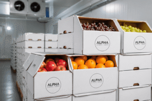 Alpha fresh fruits (12)