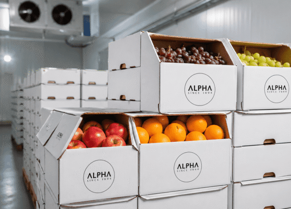 Alpha fresh fruits (12)