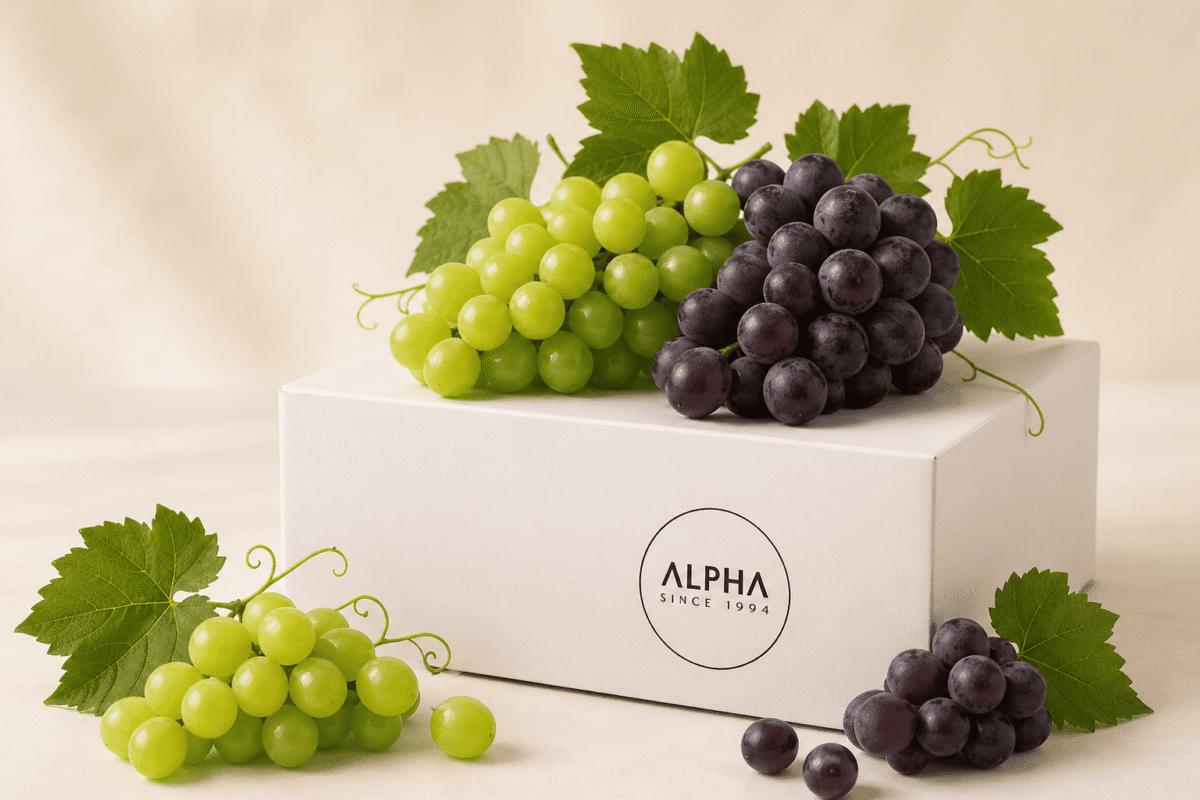 Alpha fresh fruits (23)