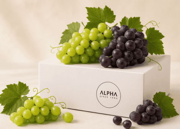 Alpha fresh fruits (23)