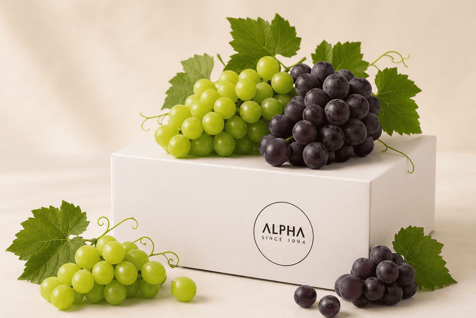 Alpha fresh fruits (23)
