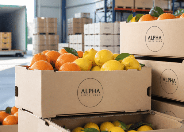 Alpha fresh fruits (5)