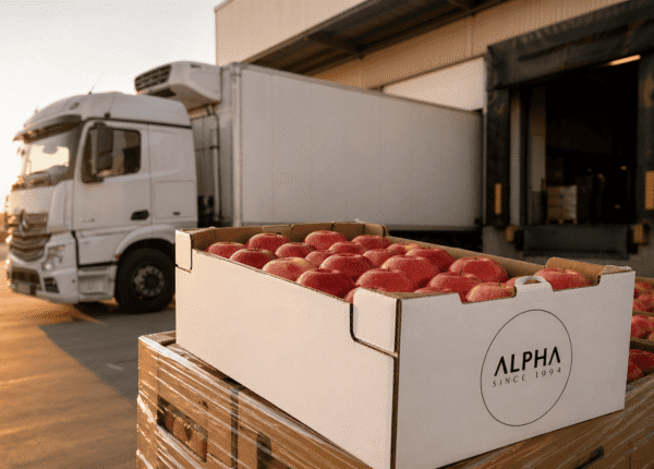 Alpha fresh fruits (6)