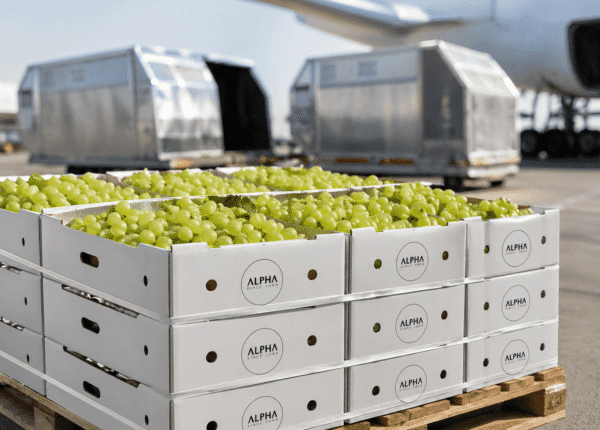 Alpha fresh fruits (7)