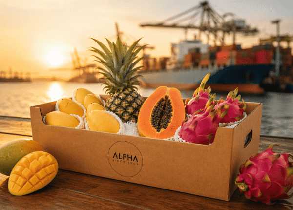 Alpha fresh fruits (9)