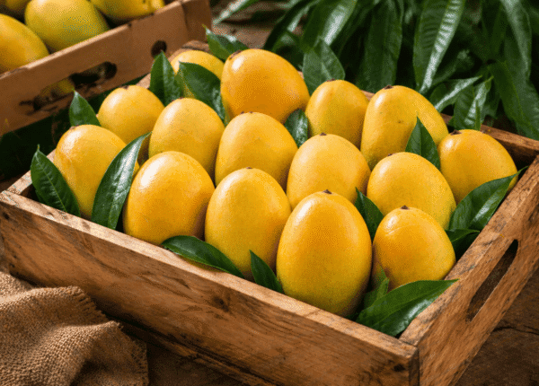 Blog mango (7)