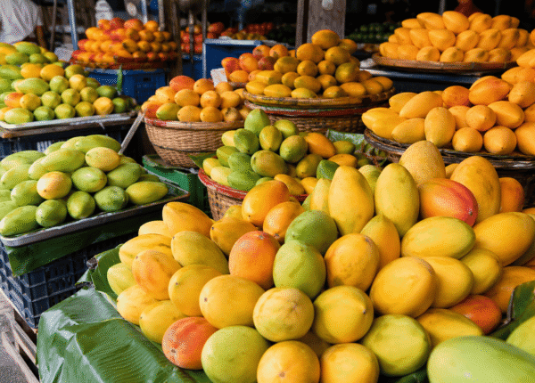 Mango Alpha Blog (14)