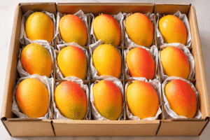 Mango Alpha Blog (4)