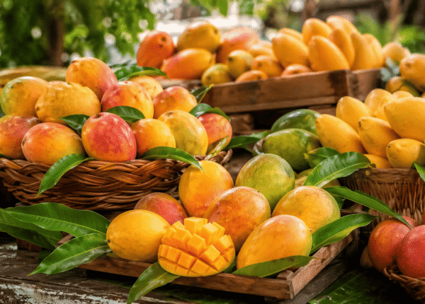 Mango Alpha Blog (5)