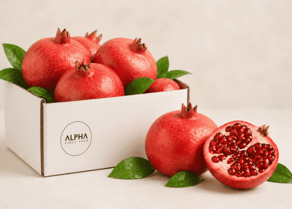 Alpha fresh fruits (16)