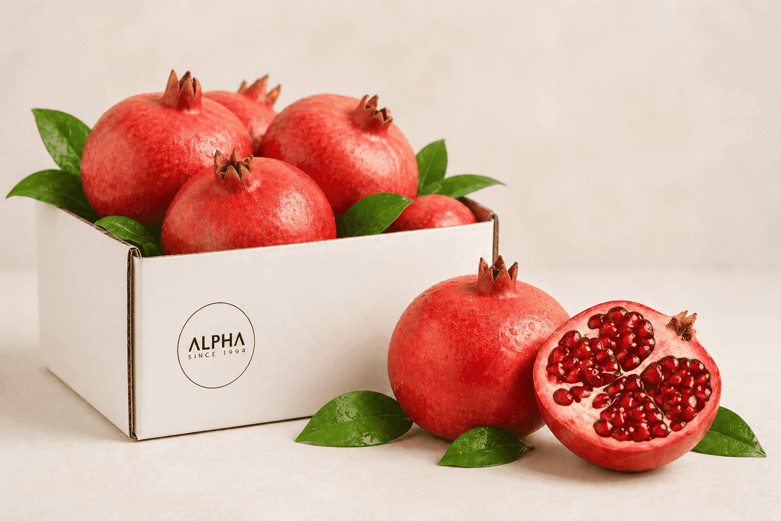 Alpha fresh fruits (16)