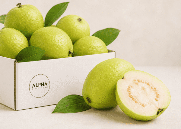 Alpha fresh fruits (17)
