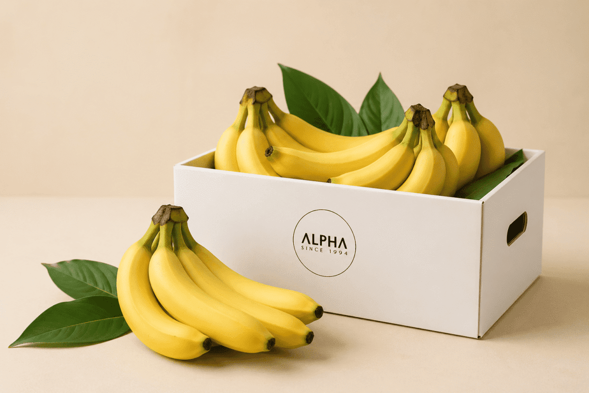 Alpha fresh fruits (22)