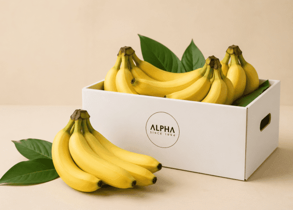 Alpha fresh fruits (22)