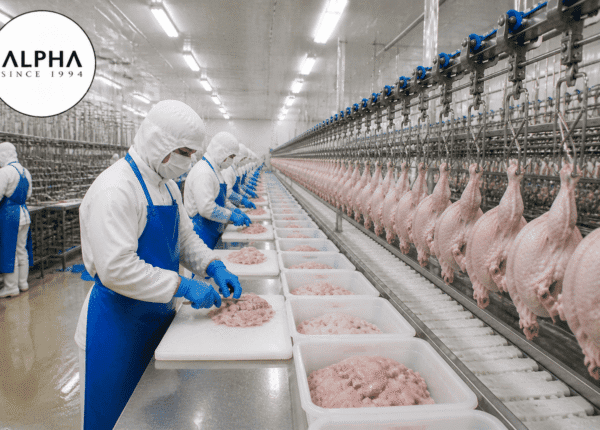 Poultry (12)
